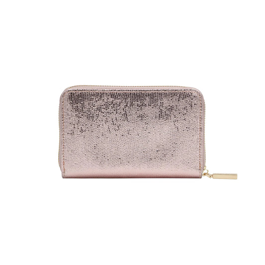 Cartera Sencilla Prólogo