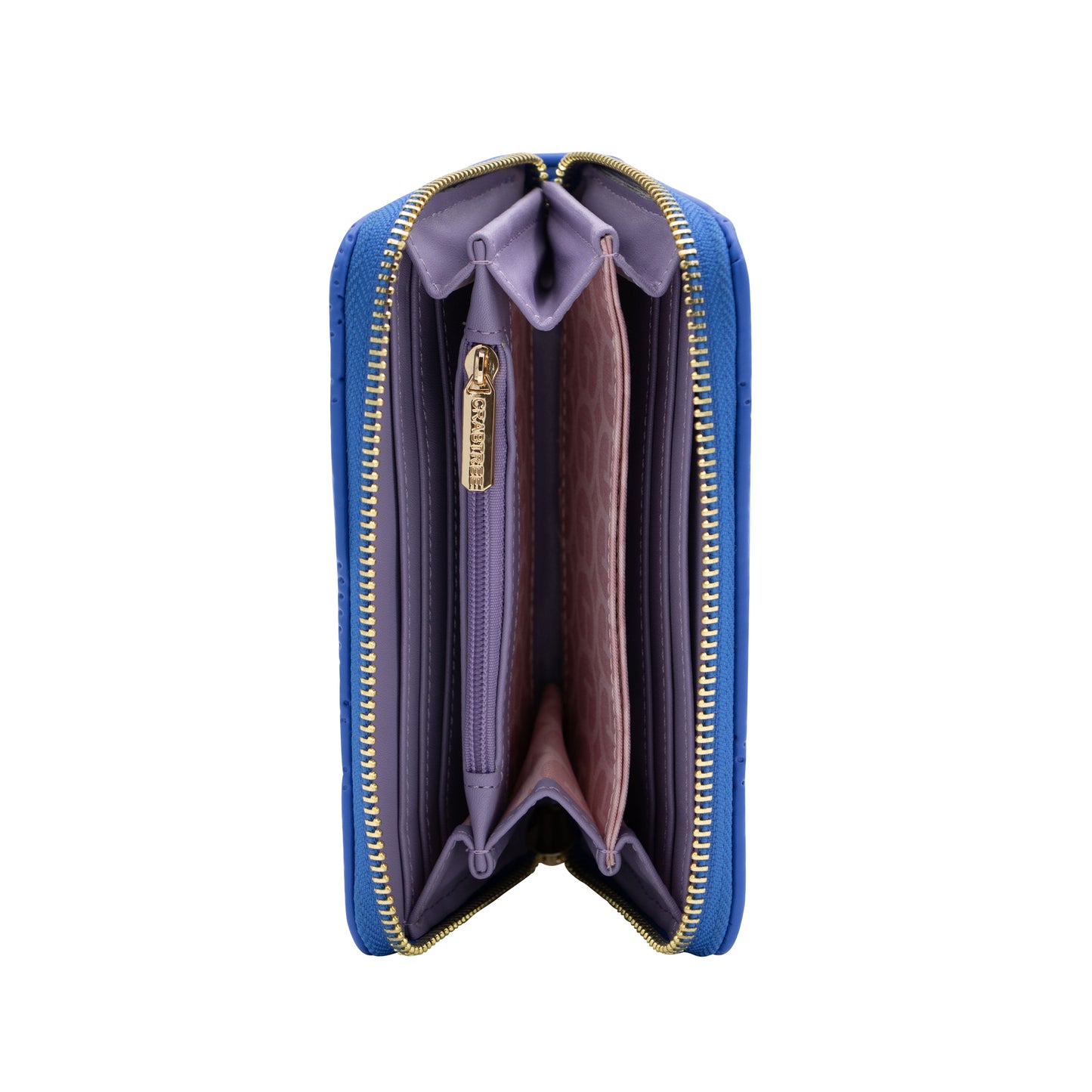 Cartera Sencilla Prólogo