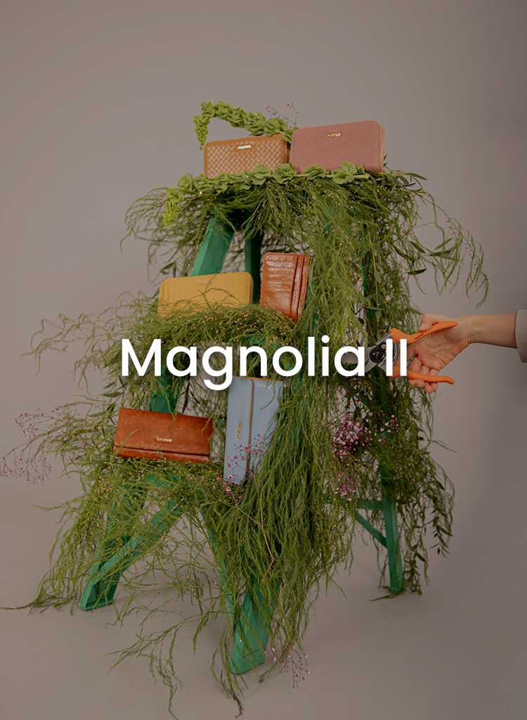 MAGNOLIA II – Crabtree de México
