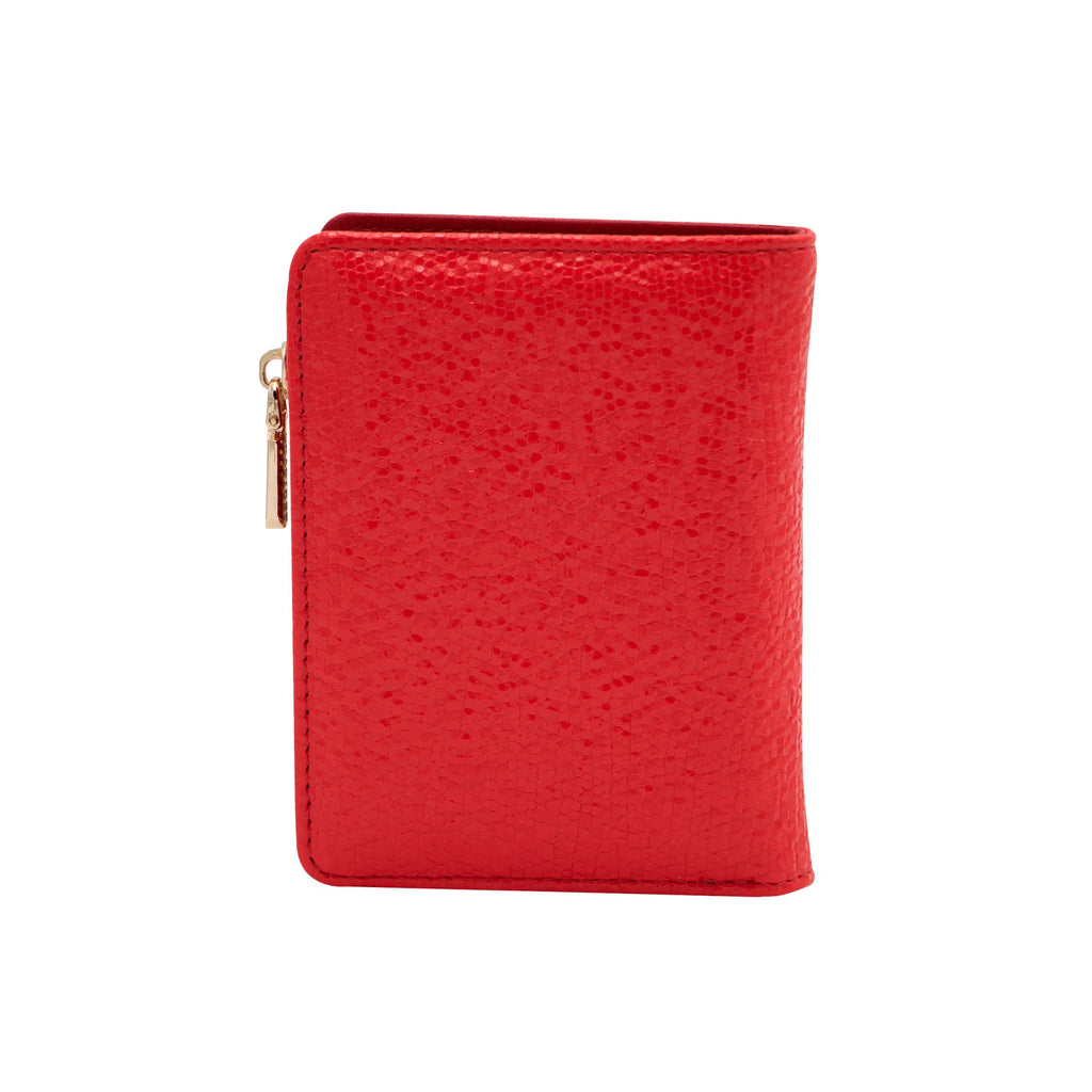 Cartera tarjetero