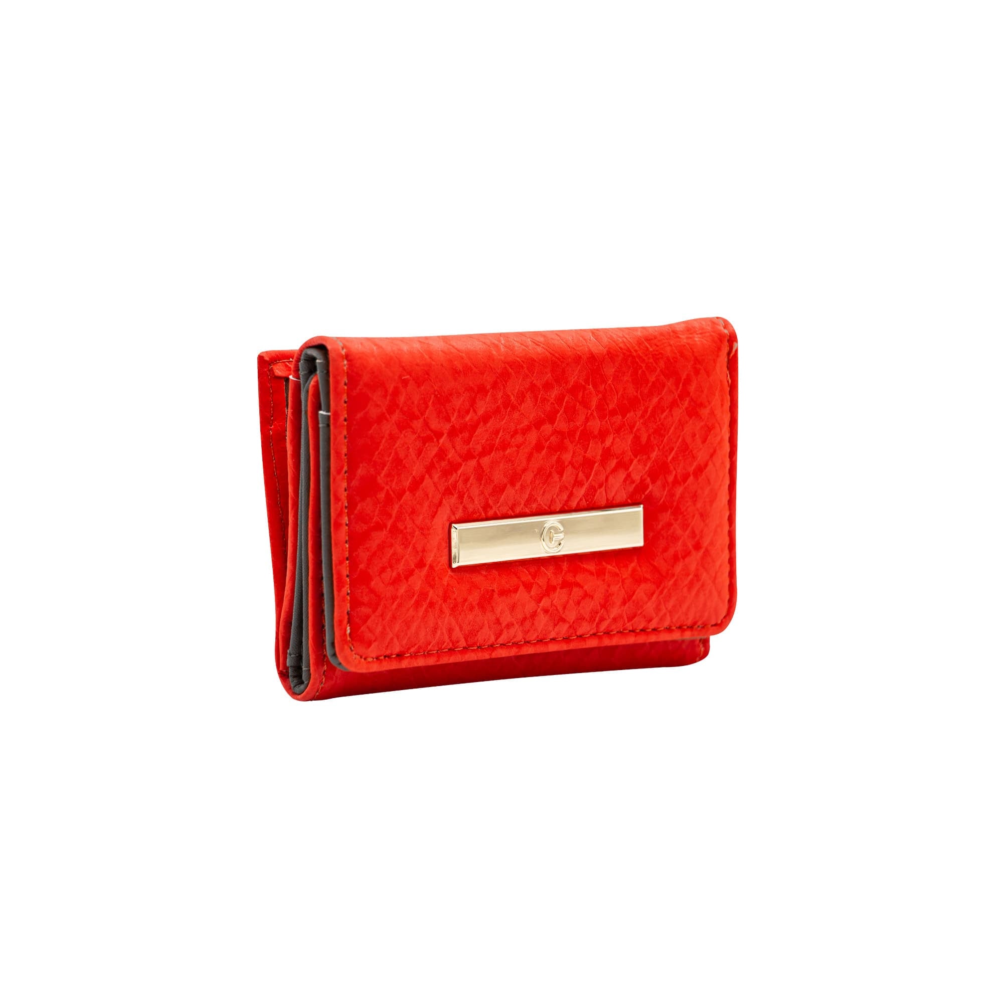 Cartera Plegable Prólogo