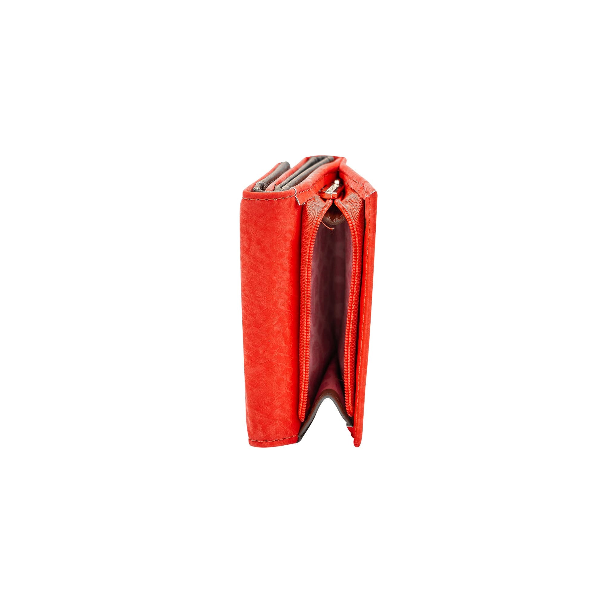 Cartera Plegable Prólogo