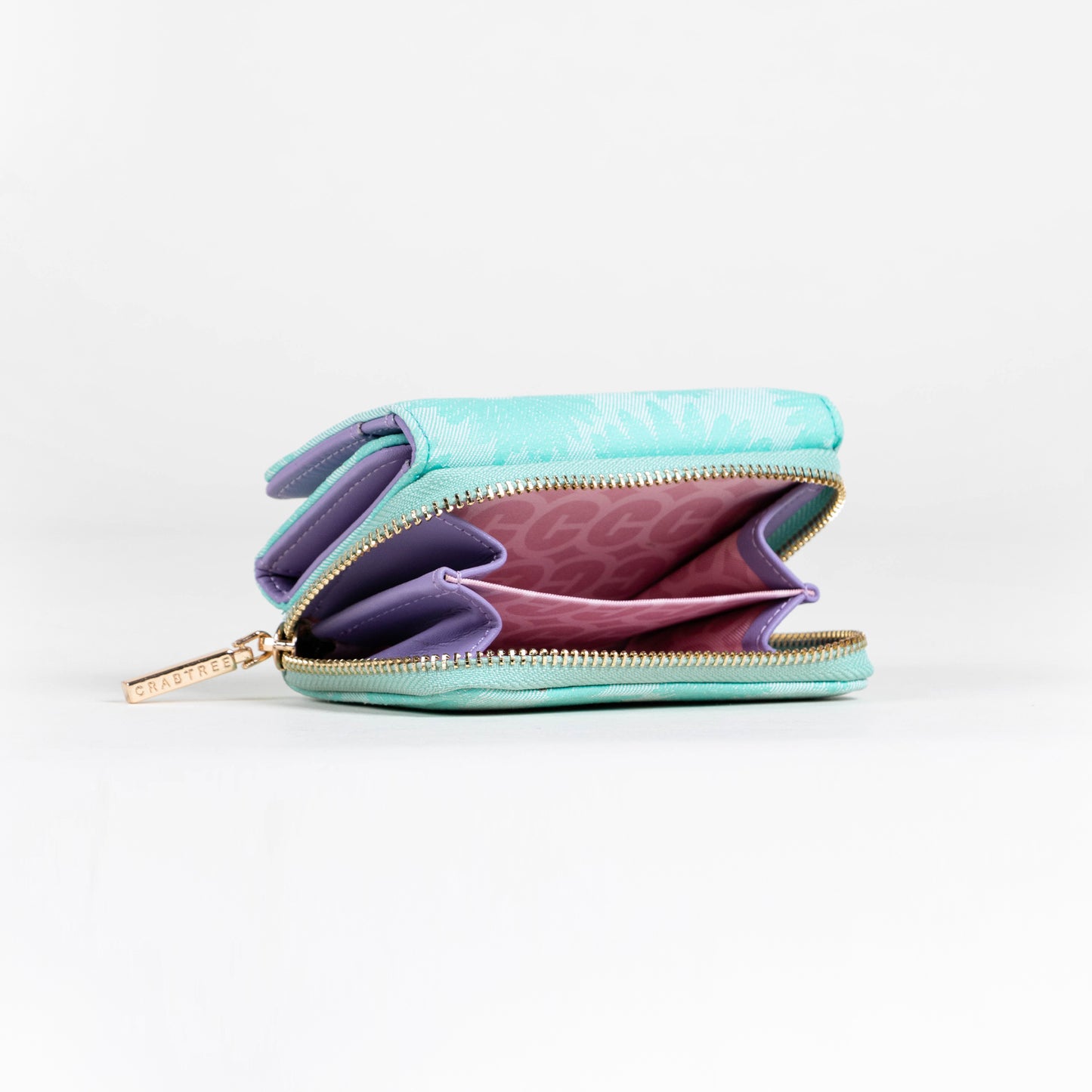 CARTERA CHICA PLEGABLE