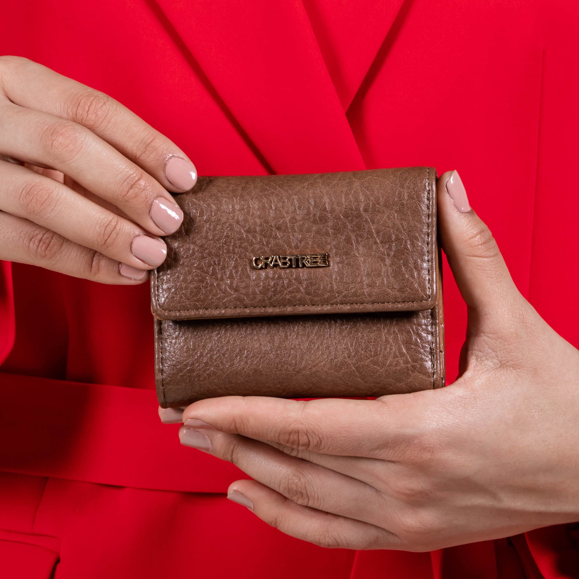 Cartera broche Odessia
